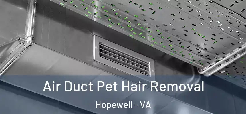  Air Duct Pet Hair Removal Hopewell - VA