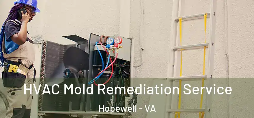 HVAC Mold Remediation Service Hopewell - VA