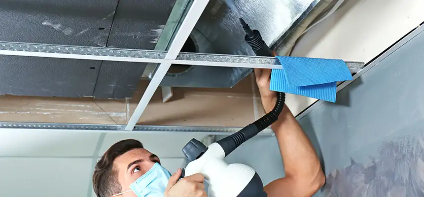 Our Air Duct Rodent Removal Services in Hopewell, VA