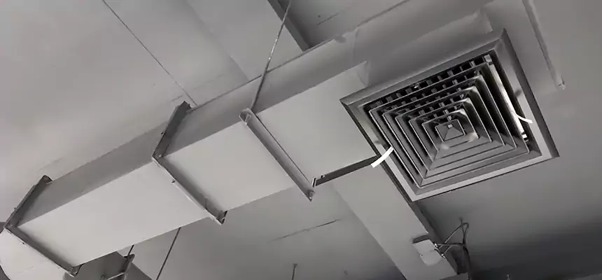 Our Pest Removal From Ducts Services in Hopewell, VA