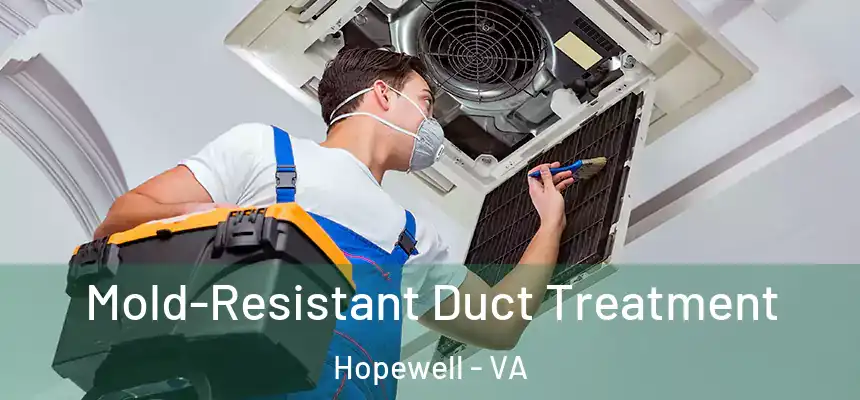 Mold-Resistant Duct Treatment Hopewell - VA
