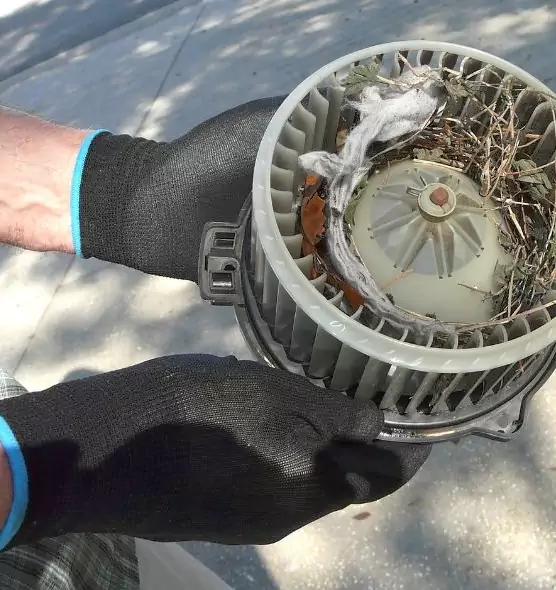 About Air Duct Rat Removal in Hopewell, VA