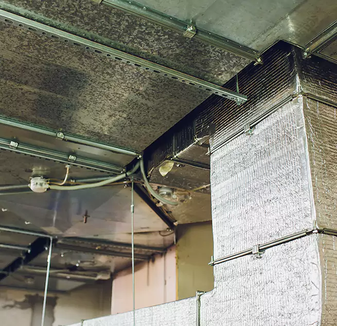 Why Homeowners & Businesses Trust Us in Hopewell, VA?